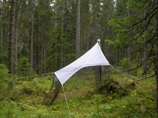 Trap ID 55 - SE, Vb, Vindelns kommun, Kulbäckslidens trail park, Granliden (80+ yr old spruce forest)