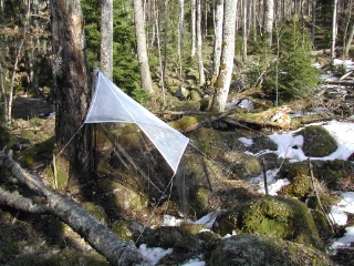 Trap ID 1000 - SE, Sm, Nybro kommun, Bäckebo, Grytsjöns nature reserve, (old aspen forest in boulder terrain)