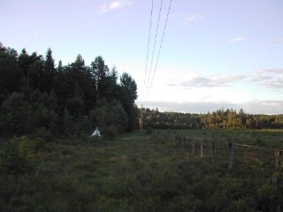 Trap ID 34 – Ha, Laholms kommun, Mästocka ljunghed, northeastern edge (heather heath)
