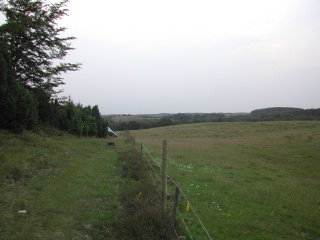 Trap ID 38 – SE, Sk, Tomelilla kommun, Drakamöllan, at border between pasture 1 and 2 (common bent beath)