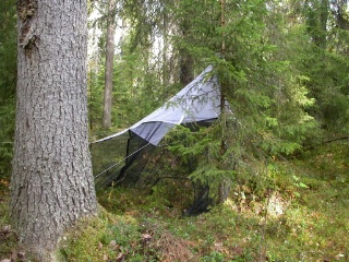 Trap ID 52 - SE, Vb, Vindelns kommun, Kulbäckslidens trail park, reserve (old blueberry spruce forest)