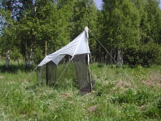 Trap ID 6 - SE, Up, Älvkarleby kommun, Marma skjutfält, east of Sköldvägen/Kanonvägen (dry meadow [field of fire] with birch)