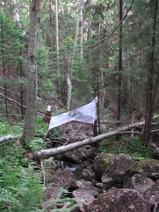 Trap ID 44 – SE, Ån, Örnsköldsviks kommun, Skuleskogen, Långrå (brook ravine in mixed forest)