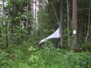 Trap ID 51 - SE, Vb, Skellefteå kommun, Brännbergets naturreservat, close to northern info-sign (mixed boreal forest)