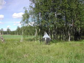 Trap ID 54 - SE, Vb, Vindelns kommun, Kulbäckslidens trail park, Kulbäcken meadow (meadow with birches on fine alluvial sediments)