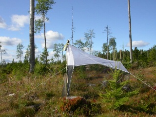 Trap ID 56 - SE, Vb, Vindelns kommun, Kulbäckslidens trail park, Gammnybränna (10-15 year old cutting aerea)