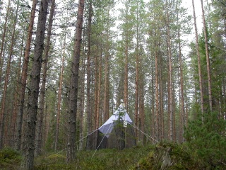 Trap ID 58 - SE, Vb, Vindelns kommun, Kulbäckslidens trail park, pine plantation (40-50 yr old pine forest with blueberry)