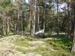 Trap ID 3 - SE, Sö, Haninge kommun, Tyresta, Urskogsslingan, pine forest on flat-rock