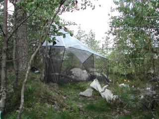 Trap ID 5 - SE, Sö, Huddinge kommun, Sofielunds återvinningsanläggning (garbage dump)