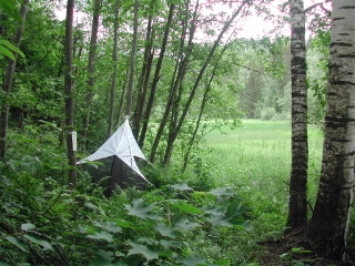 Trap ID 10 - SE, Dr, Säters kommun, Säterdalen, Näsåkerspussen (alder wood ravine)