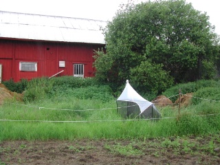 Trap ID 12 - SE, Sö, Trosa kommun, Hunga, Hunga Södergård 1 (eutrophicated soil)