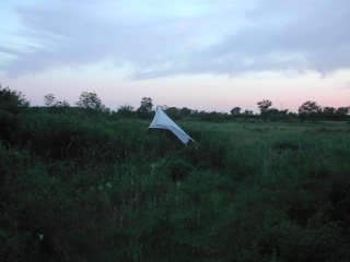 Trap ID 22 – SE, Öl, Mörbylånga kommun, Gamla Skogsby (Kalkstad), diversitetsängen (meadow with shrub vegetation)