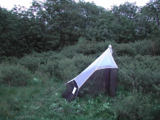 Trap ID 22 – SE, Öl, Mörbylånga kommun, Gamla Skogsby (Kalkstad), diversitetsängen (meadow with shrub vegetation)