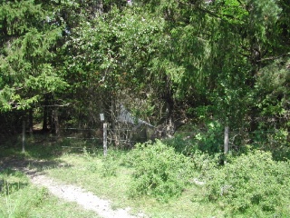 Trap ID 30 – SE, Sö, Södertälje kommun, Tullgarns näs, Rävsalaviken (mixed forest next to pasture)