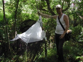 Trap ID 39 – SE, Sk, Simrishamns kommun, Stenshuvuds nationalpark (litter rich broad-leaved deciduous forest)