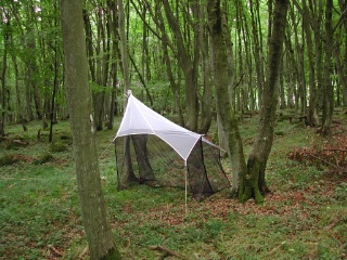 Trap ID 40 – SE, Sk, Simrishamns kommun, Stenshuvuds nationalpark, northern Svabeholmsskog (hornbeam forest)