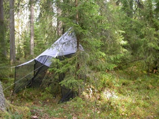 Trap ID 52 - SE, Vb, Vindelns kommun, Kulbäckslidens trail park, reserve (old blueberry spruce forest)