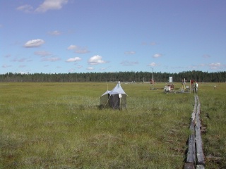 Trap ID 53 - SE, Vb, Vindelns kommun, Kulbäckslidens trail park, Degerö stormyr - Kronmyran (bog)