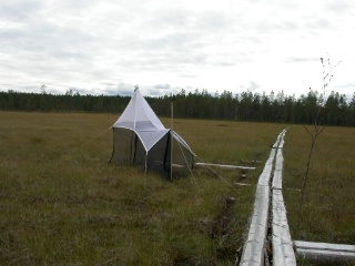 Trap ID 53 - SE, Vb, Vindelns kommun, Kulbäckslidens trail park, Degerö stormyr - Kronmyran (bog)