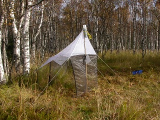 Trap ID 54 - SE, Vb, Vindelns kommun, Kulbäckslidens trail park, Kulbäcken meadow (meadow with birches on fine alluvial sediments)