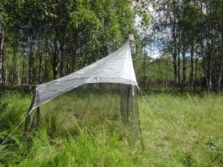 Trap ID 54 - SE, Vb, Vindelns kommun, Kulbäckslidens trail park, Kulbäcken meadow (meadow with birches on fine alluvial sediments)