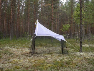 Trap ID 61 - SE, Vb, Vindelns kommun, Svartbergets trail park, Åheden (lichen pine heath)