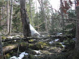 Trap ID 1000 - SE, Sm, Nybro kommun, Bäckebo, Grytsjöns nature reserve, (old aspen forest in boulder terrain)