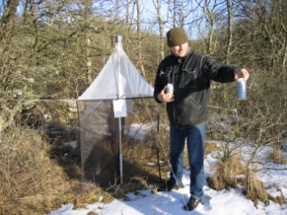 Trap ID 22 – SE, Öl, Mörbylånga kommun, Gamla Skogsby (Kalkstad), diversitetsängen (meadow with shrub vegetation)