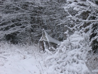 Trap ID 1001 - SE, Sm, Nybro kommun, Bäckebo, Grytsjöns nature reserve, (Old moisty haymaking meadow at edge of mixed forest)