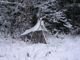 Trap ID 1001 - SE, Sm, Nybro kommun, Bäckebo, Grytsjöns nature reserve, (Old moisty haymaking meadow at edge of mixed forest)