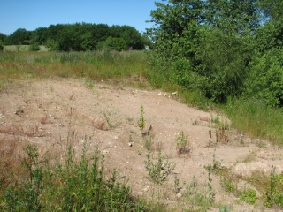 Trap ID 2046 – SE, Sm, Torsås Kommun, Söderåkra, Påboda (small village garden)