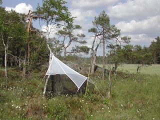 Trap ID 2 - SE, Sö, Haninge kommun, Tyresta, Ungfars mosse (bog)