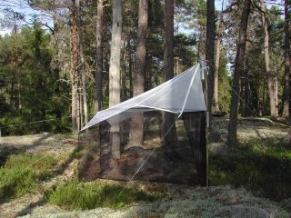 Trap ID 3 - SE, Sö, Haninge kommun, Tyresta, Urskogsslingan, pine forest on flat-rock