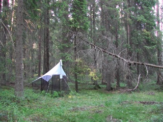 Trap ID 4 - SE, Sö, Haninge kommun, Tyresta, Urskogsslingan, spruce forest