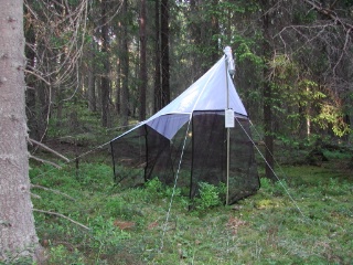 Trap ID 4 - SE, Sö, Haninge kommun, Tyresta, Urskogsslingan, spruce forest
