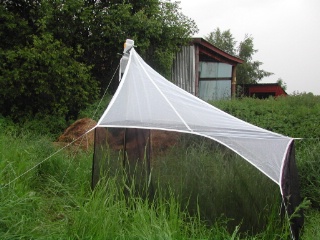 Trap ID 12 - SE, Sö, Trosa kommun, Hunga, Hunga Södergård 1 (eutrophicated soil)