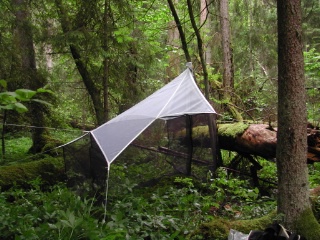 Trap ID 15 – SE, Ög, Ödeshögs kommun, Omberg, Storpissan (old Norway spruce wood)