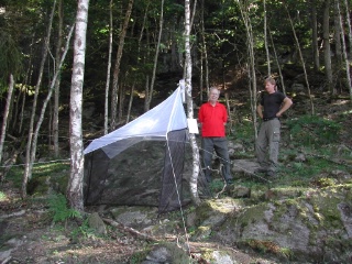 Trap ID 31 – SE, Bo, Stenungsunds kommun, Kolhättan (Ödsmål), Hällsberget (broad-leaved deciduous forest)