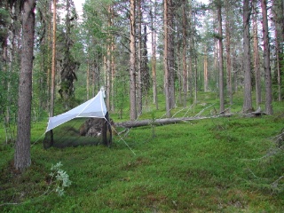 Trap ID 48 - SE, Lu, Gällivare kommun, Ätnarova försökspark, Peltovaara (Lingonberry pine forest)