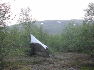 Trap ID 50 - SE, To, Kiruna kommun, Abisko nationalpark, east of heath on Njakajaure trail (dry mountain birch forest)