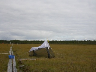 Trap ID 53 - SE, Vb, Vindelns kommun, Kulbäckslidens trail park, Degerö stormyr - Kronmyran (bog)