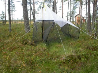 Trap ID 59 - SE, Vb, Vindelns kommun, Kulbäckslidens trail park, edge of Degerö stormyr (bog)