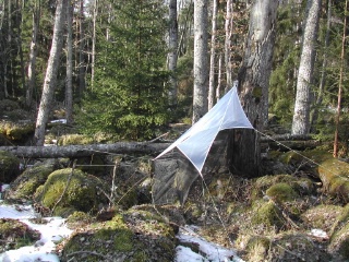 Trap ID 1000 - SE, Sm, Nybro kommun, Bäckebo, Grytsjöns nature reserve, (old aspen forest in boulder terrain)