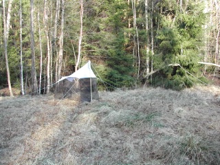 Trap ID 1001 - SE, Sm, Nybro kommun, Bäckebo, Grytsjöns nature reserve, (Old moisty haymaking meadow at edge of mixed forest)