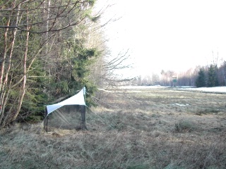 Trap ID 1001 - SE, Sm, Nybro kommun, Bäckebo, Grytsjöns nature reserve, (Old moisty haymaking meadow at edge of mixed forest)