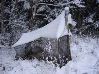 Trap ID 1001 - SE, Sm, Nybro kommun, Bäckebo, Grytsjöns nature reserve, (Old moisty haymaking meadow at edge of mixed forest)