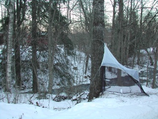 Trap ID 1003 - SE, Vr, Munkfors kommun, Ransäter, Ransberg Herrgård (Old mixed deciduous forest in stream ravine)