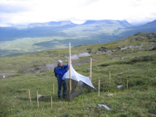 Trap ID 1007 – SE, To, Kiruna kommun, Abisko nationalpark, Nuolja (bare mountain)