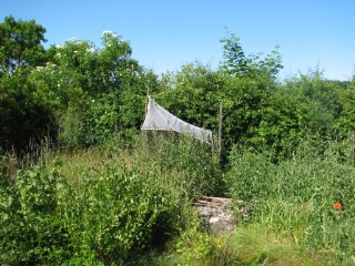 Trap ID 2046 – SE, Sm, Torsås Kommun, Söderåkra, Påboda (small village garden)