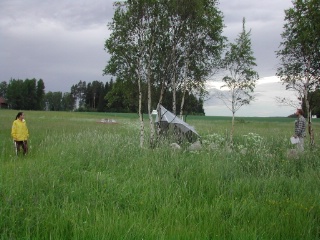 Trap ID 10 - SE, Vs, Sala kommun, Västerfärnebo, Nötmyran (hay meadow)